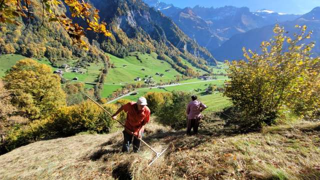 Natur verbindet - Elmer Heuertag